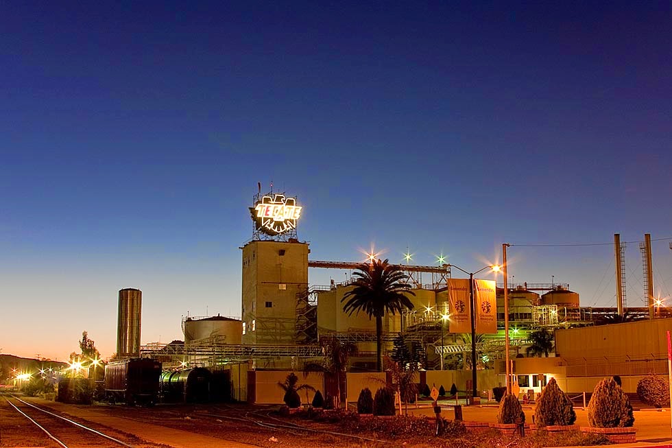 Tecate